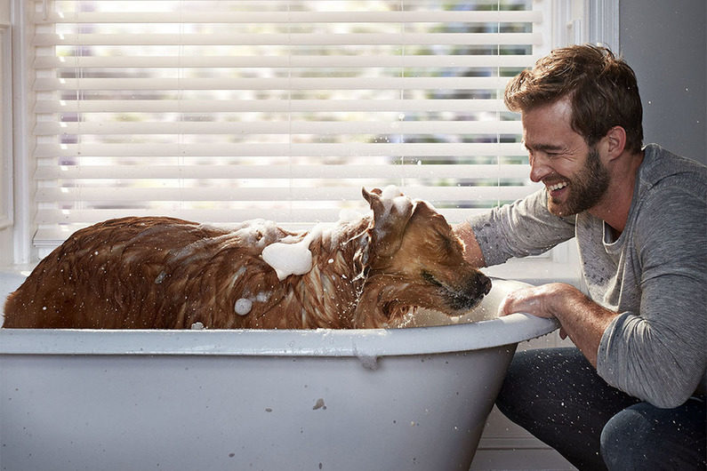 levolor-man-and-dog levolor-man-and-dog