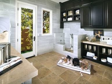 pets-sweetdogsuitesatzl-1